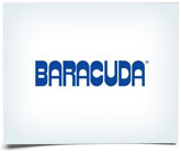 Baracuda